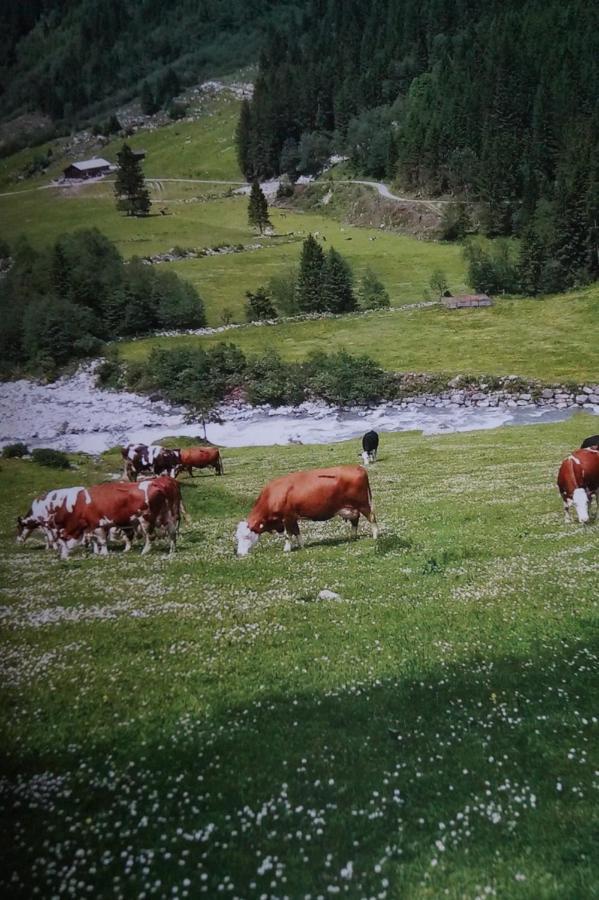 Ferienwohnung Krandlhof Zell am Ziller Exterior foto